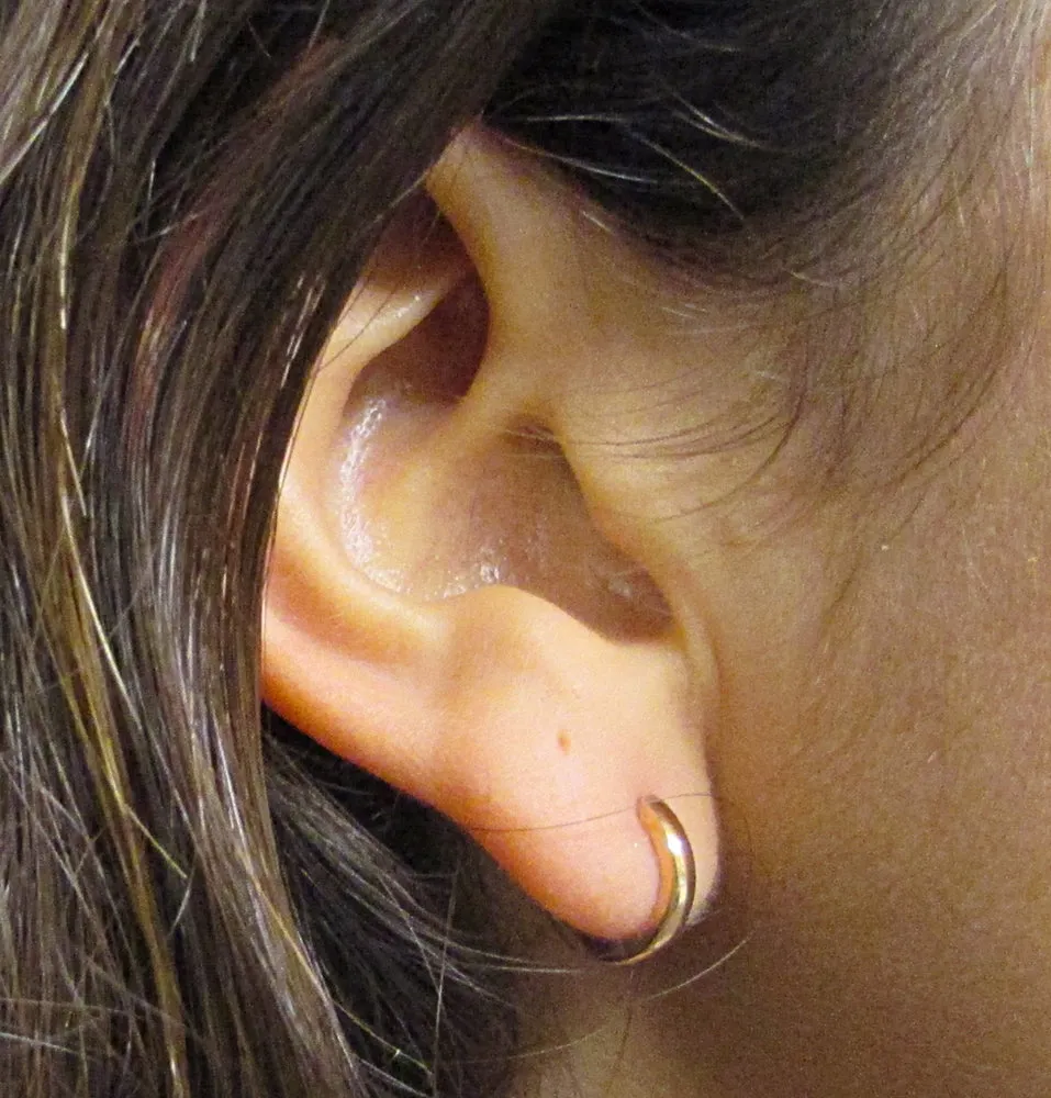 14K Rose Gold Hinged Huggie Hoop Earrings (1.8mm Wide), 11mm