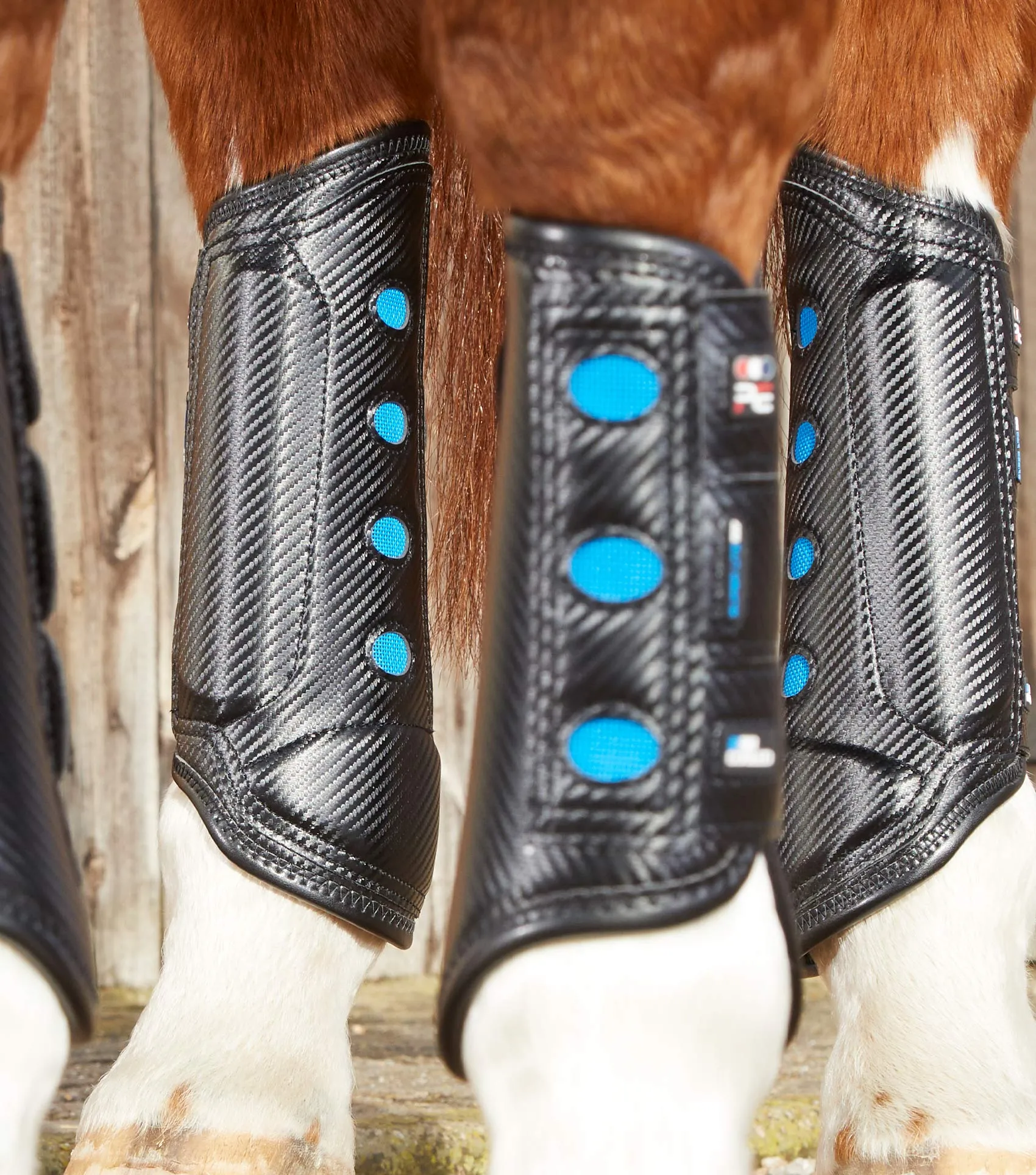 AC Super Lite Carbon Tech Eventing Racing Boots  Hind  - Black