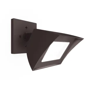 Endurance Flood Light Outdoor/Indoor Wall Pack Endurance Flood Light Outdoor/Indoor Wall Pack