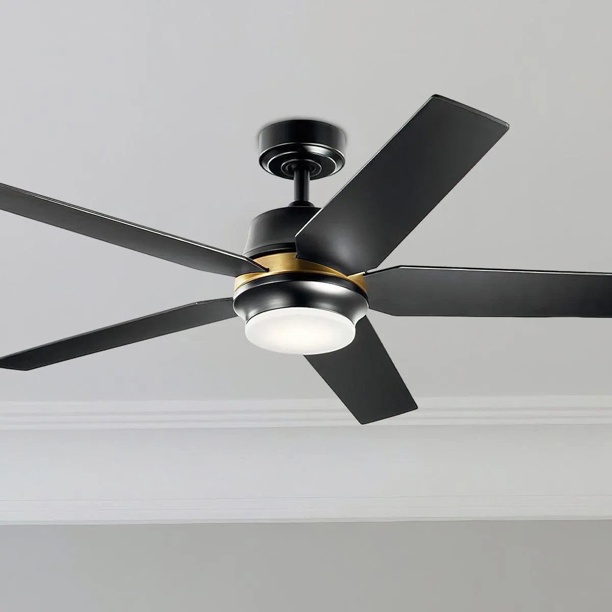 Maeve 52" LED Indoor Ceiling Fan